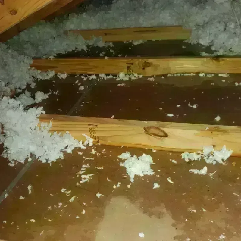 Attic Water Damage in Plain View, NC